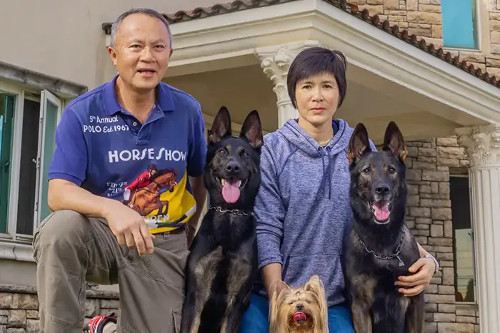 狗狗訓練學校費用