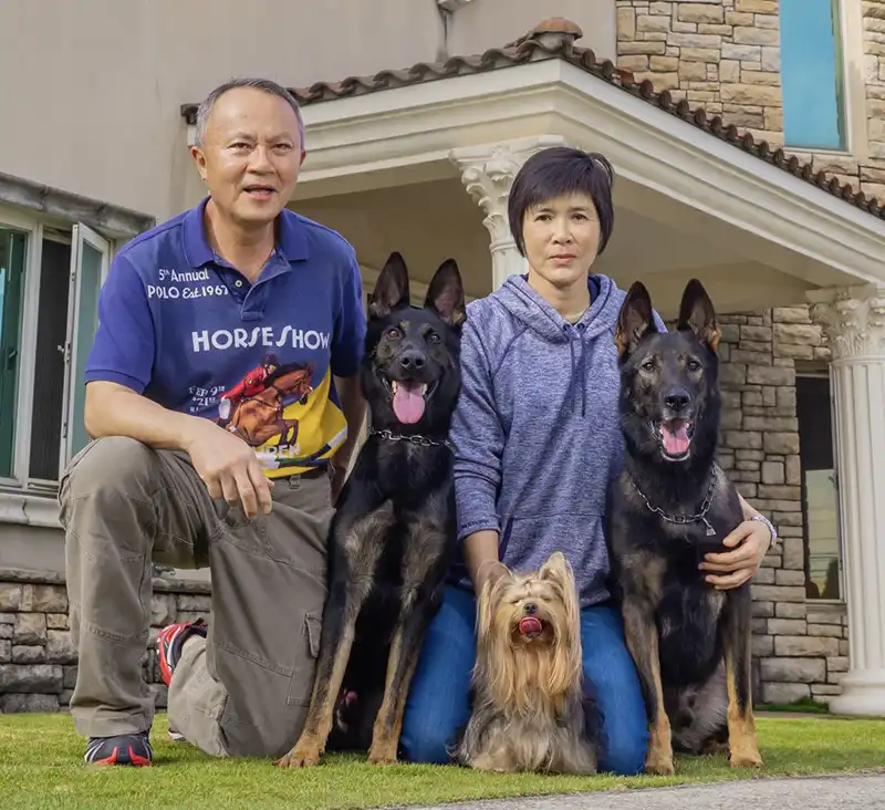 狗狗訓練學校費用