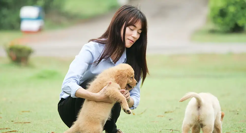 我們的訓練方式