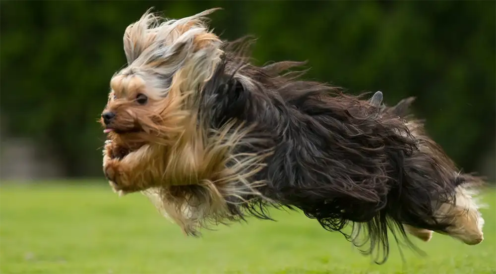 我們相信好的訓練來自好的生活基礎