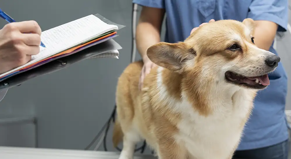 每日照顧與健康管理