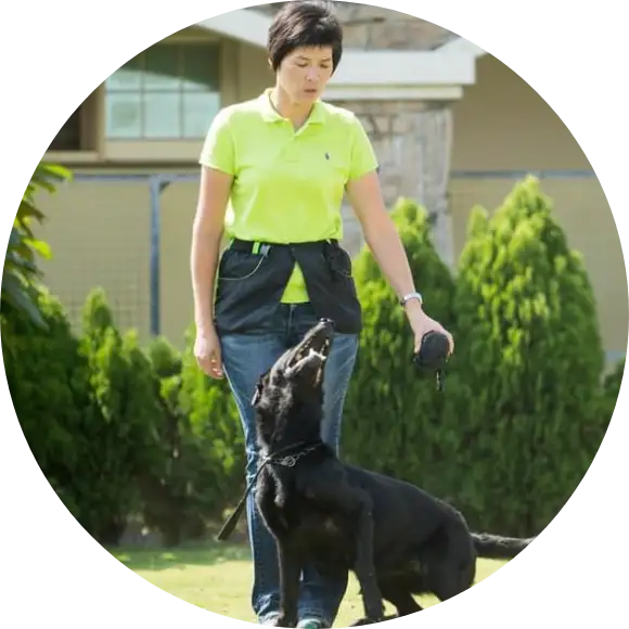 讓狗狗具備能跟家人順利生活的基礎能力